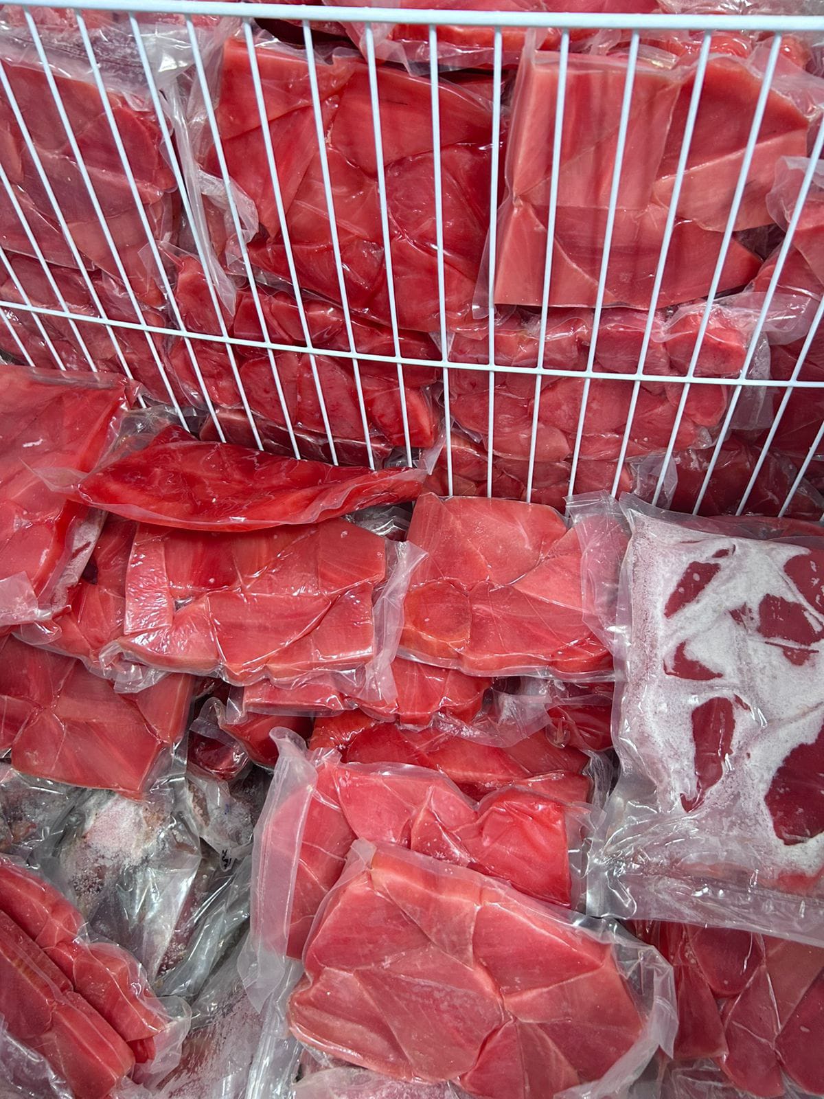 Stok tuna frozen segar merah merona, dikemas vakum siap kirim